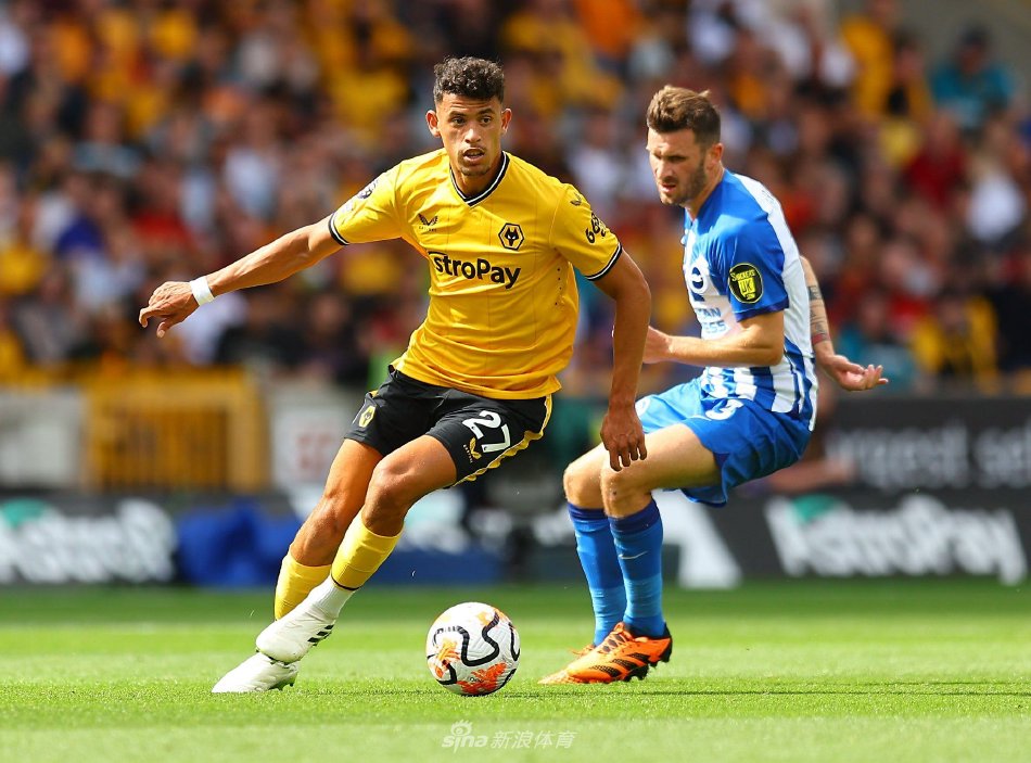 而肖国栋则 而肖国栋则